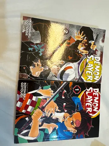 Demon Slayer Manga Volumes 1 and 2