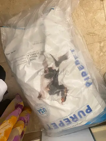 Purepet Dog Food - Quality Nutrition for Your Furry Friend