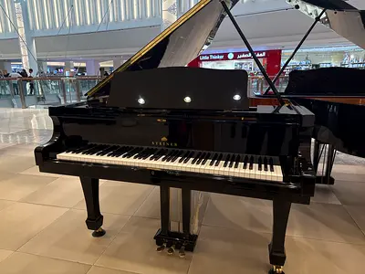 Steiner HG-168E Grand Piano Brand New