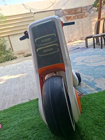 Cute and Fun Baby Trike for Sale