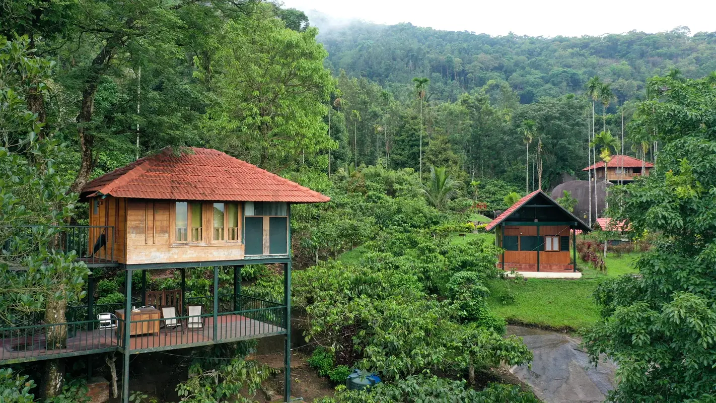 DPV_View_Image_2