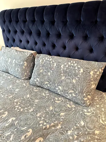 Elegant Velvet Royal Blue Bed from The One