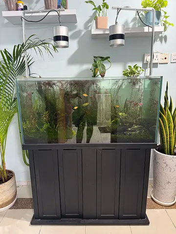 Beautiful Aquatic Habitat with Stylish Stand