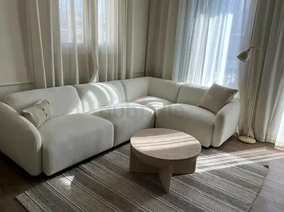 Premium quality oc home sofa