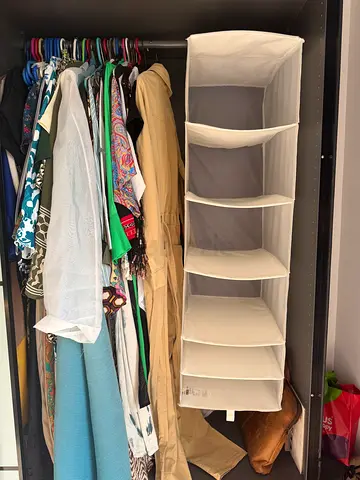 Closet organiser