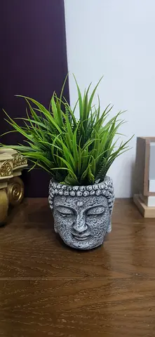 Small plant in bhuddha figure from homes r us