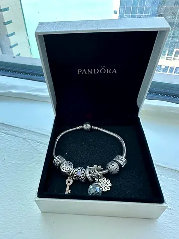 Elegant Pandora Charm Bracelet with Unique Charms