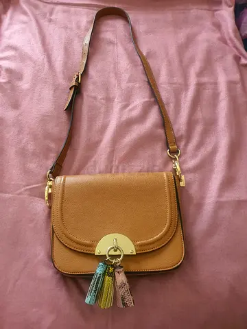 Aldo bag