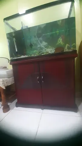 Stunning Aquarium with Elegant Cabinet for Sale!