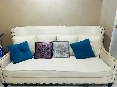 Elegant Sofa with Decorative Cushions