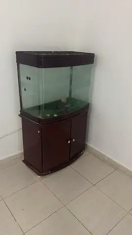 Beautiful Big Fish Tank with Stand for Sale Top is open. Repainted by hand finishing is bit less