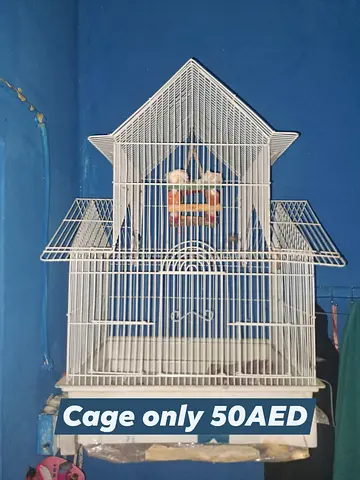 Bird Cage for Sale - Only 50 AED!