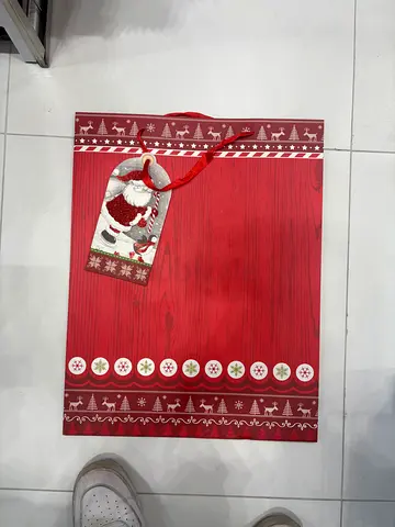 Cute Big Bags for Christmas gifts