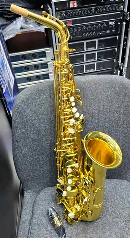 Saxophone Alto- Brand new