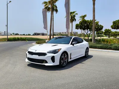 Kia Stinger GT2 (3.3L) Twin Turbo 6 Cylander Engin. Full Option 2019 Model.  Korean Vc Castom Paper.