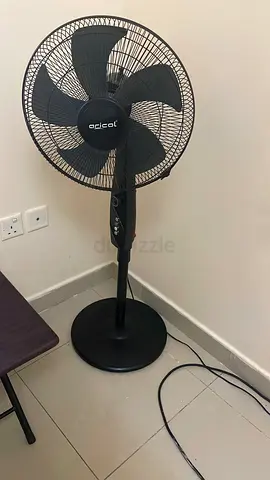 Fan