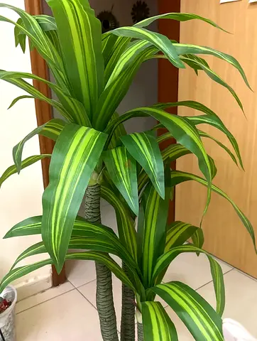 Beautiful Artificial Plant for Your Home Decor نبتة صناعية