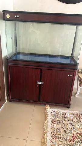 حوض سمك للبيع – عرض 1 متر × ارتفاع 60 سم
 Fish Tank for Sale – 1 Meter Width × 60 cm Height
