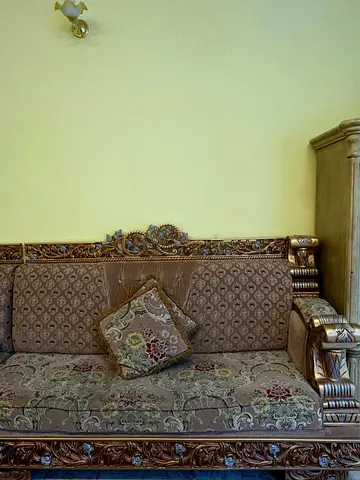 Elegant Antique Sofa for Sale