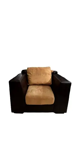 Comfortable Two-Tone sofa chair