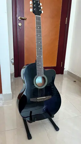 Carlos Guitar