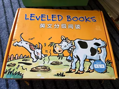 RAZ Level~L 86pc books