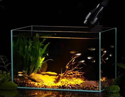 Stunning Salt water Aquarium with all accesorise with Rocks ,without Fish ,  plant
