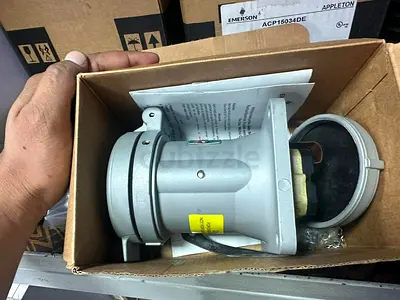 Appleton male and female plugs