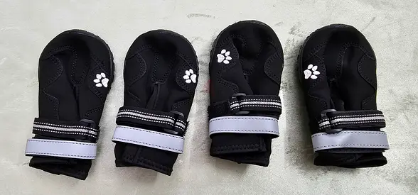 Dog shoes for sale