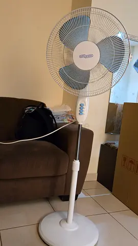 Table fan