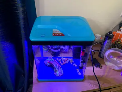 Fish acqurium with filter pump and also heater