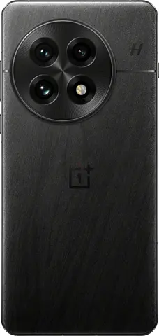 OnePlus 13