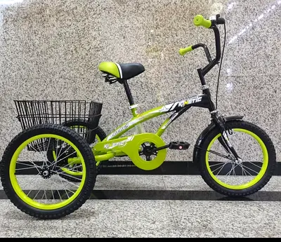 Tricycle 16 - Brand New