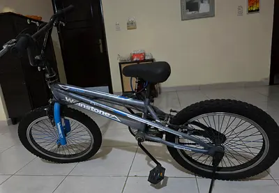 Well-Maintained Bike for Sale