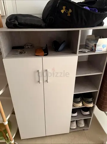 Modern Storage Cabinet with Shelves