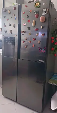 LG Refrigerator in Excellent Condition