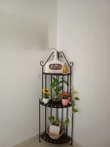 Elegant Corner Plant Stand