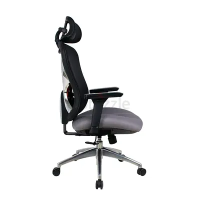 Executive modern ergonomic chair