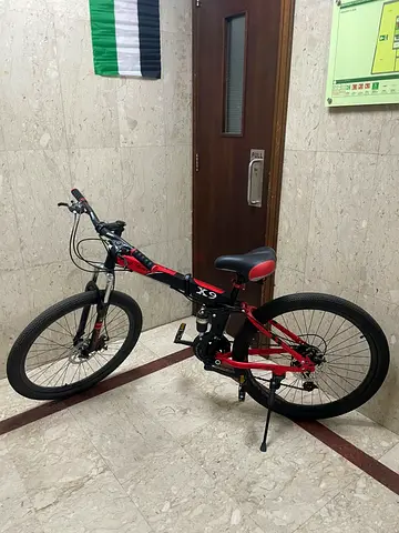 Mountain bike
