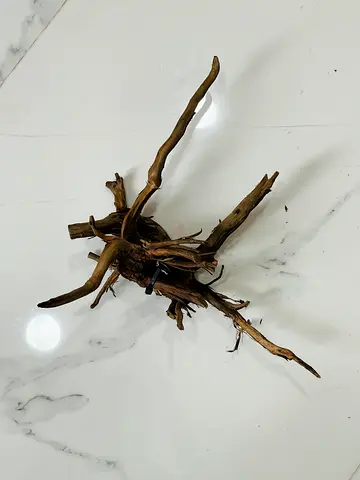 Natural Driftwood for Aquariums or Reptile Habitats