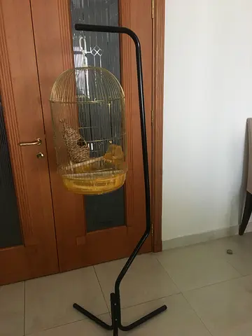 Bird cage with stand