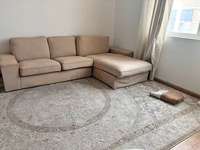 Elegant Rug