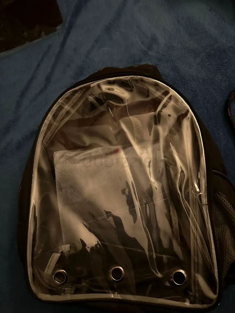 Transparent backpack for pets65073399747715110