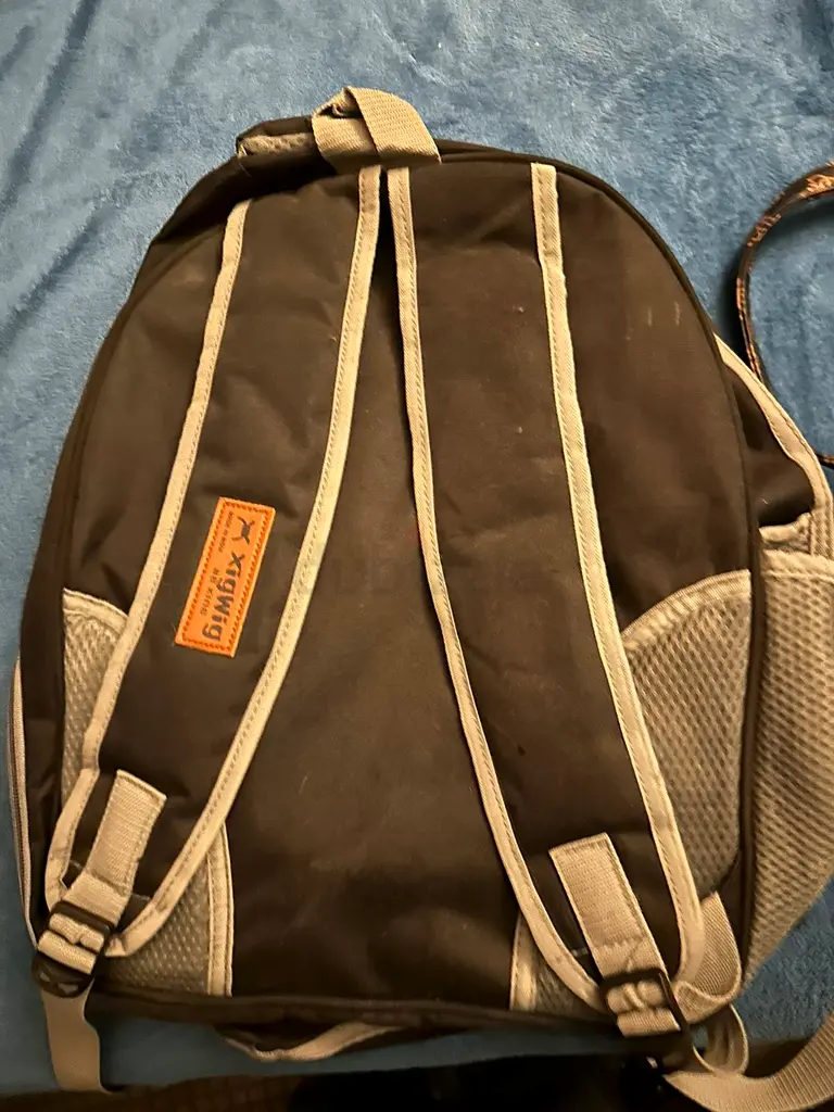 Transparent backpack for pets65073399747715111