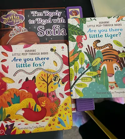 Collection of Engaging Childrens Storybooks