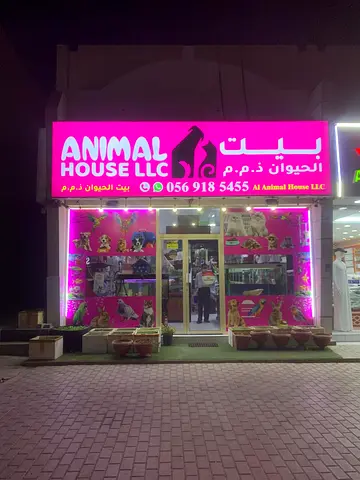 Pet Shop For Sale