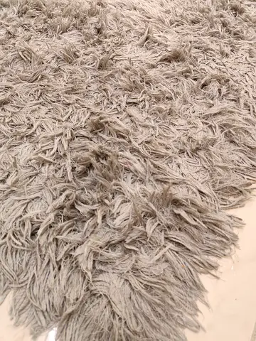 Beautiful rug / carpet