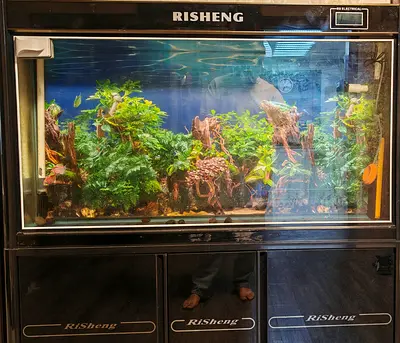 Beautiful Risheng Aquarium for Sale fish tank