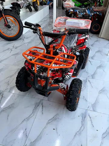 Kids Electric ATV Quad Bike, Fire and Ice Design, All-Terrain Vehicle with Rugged Tires, Rear Storag