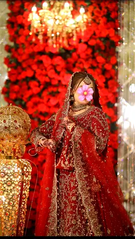 Elegant Traditional Wedding Outfit